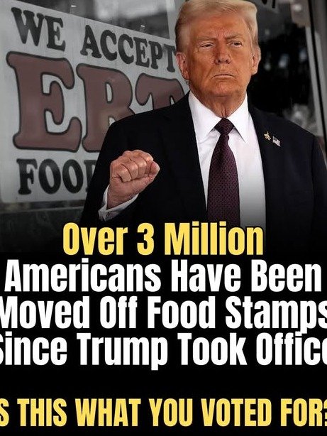 The Untold Story: Did Trump's Controversial Welfare Reforms REALLY Spark a Workforce Revolution?
