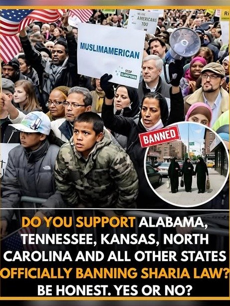 The Silent Battle: Why These States Are Drawing a Line in the Sand to Protect YOUR Freedoms