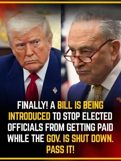The ULTIMATE Showdown: Will Congress FINALLY Lose Their Pay During Government Shutdowns? What You NEED to Know!