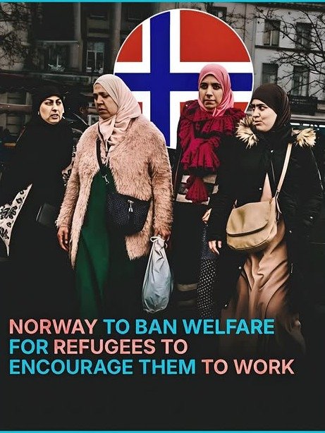 Norway's Beloved Welfare System on the Brink? The Urgent Debate Reshaping Its Future