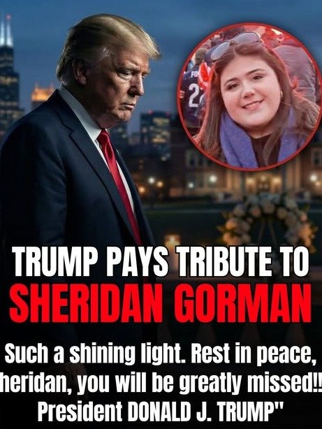 The 1 AM Secret of Tobey Prinz Beach: What Sheridan Discovered That Night Will Change How You See Everything