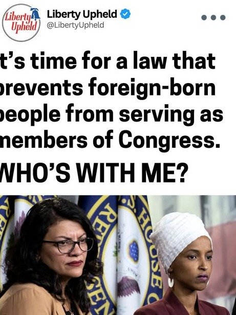 Who Truly Represents America? The Urgent Call to Permanently Bar Foreign-Born Individuals from US Congress