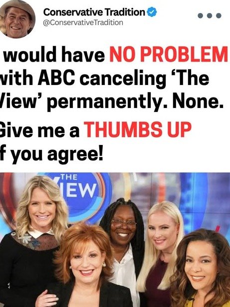 The Unfiltered Truth: Is 'The View' Using ABC Airtime to Fuel Division and Misinformation?