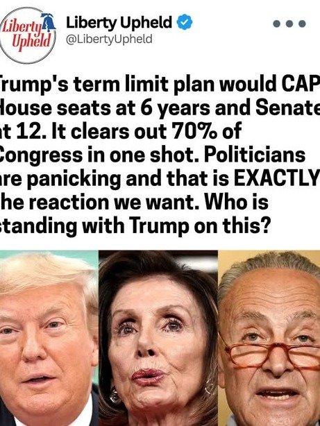 Your Congress Could Be GONE: Trump's 6/12 Year Plan & the Unseen Consequences
