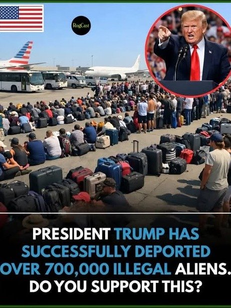 The Unseen Impact: Did Trump's Immigration Policies Truly Reshape 'Law and Order' at the Border?