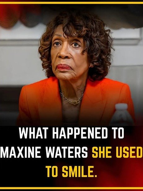 The Unstoppable Force: How Maxine Waters' Public Image Transformed During the Trump Years (and What It Means Now)